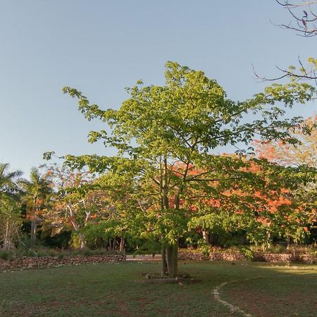 Bed and Breakfast Hacienda Shambalante Izamal Exterior foto
