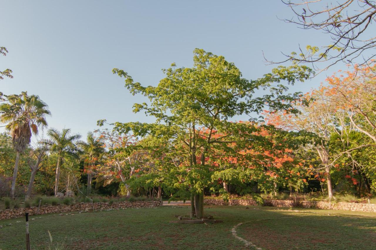 Bed and Breakfast Hacienda Shambalante Izamal Exterior foto
